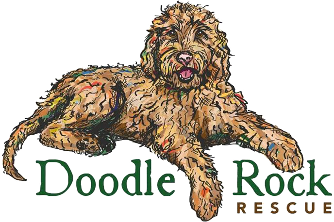 Doodle Rock Rescue logo